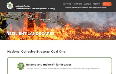 resources image